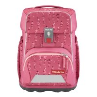 Step by Step Basis Set Pink Bubbles
