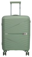 Beagles Travel 25138 S Natural green