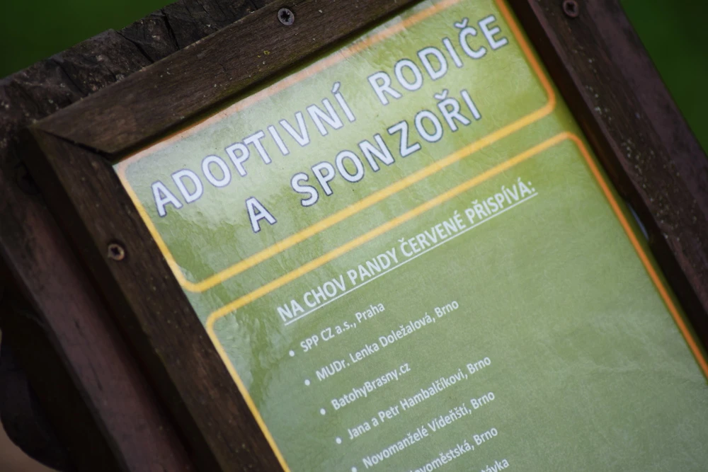 Brno Zoo Adoption