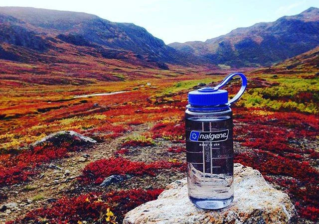 Nalgene bottle