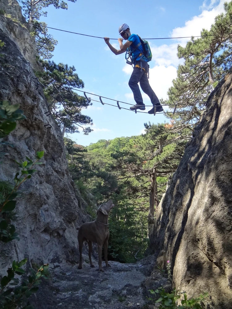 Via Ferratas Austria