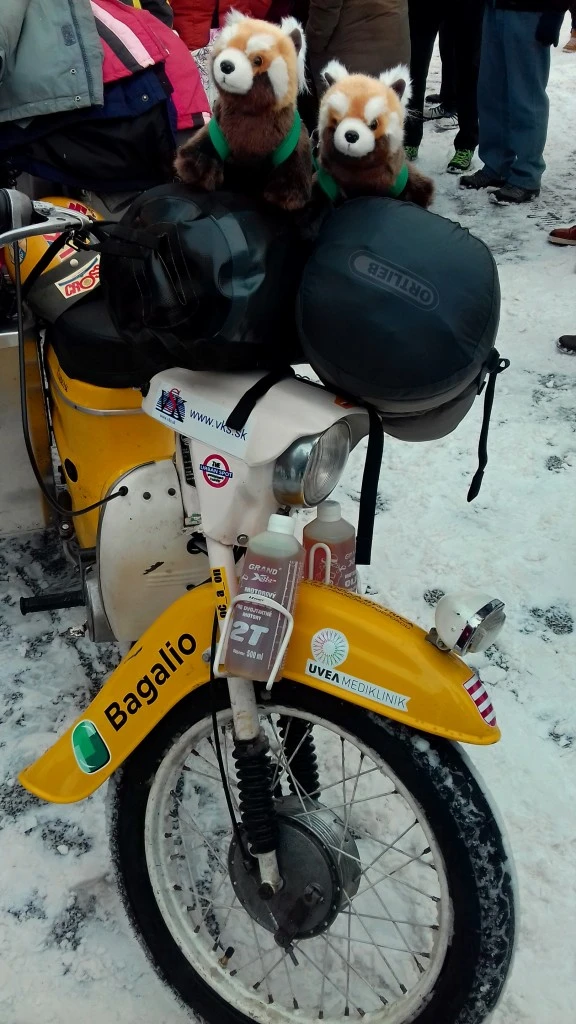 Bagalio pandas on Pionýr motorcycles