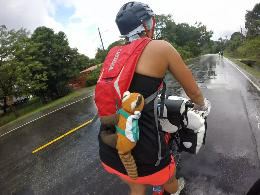 Panda on a scooter