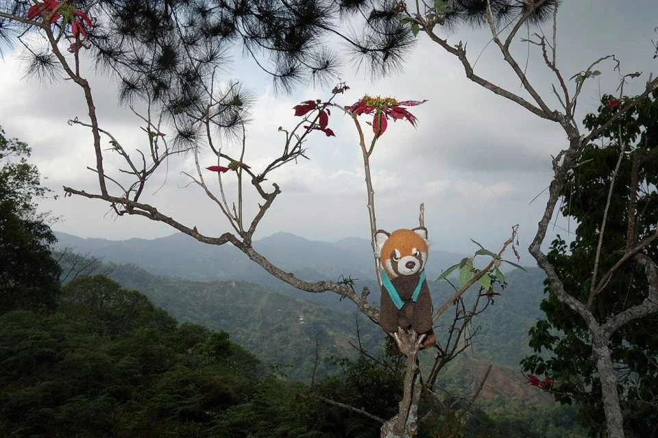 Journey through Colombia