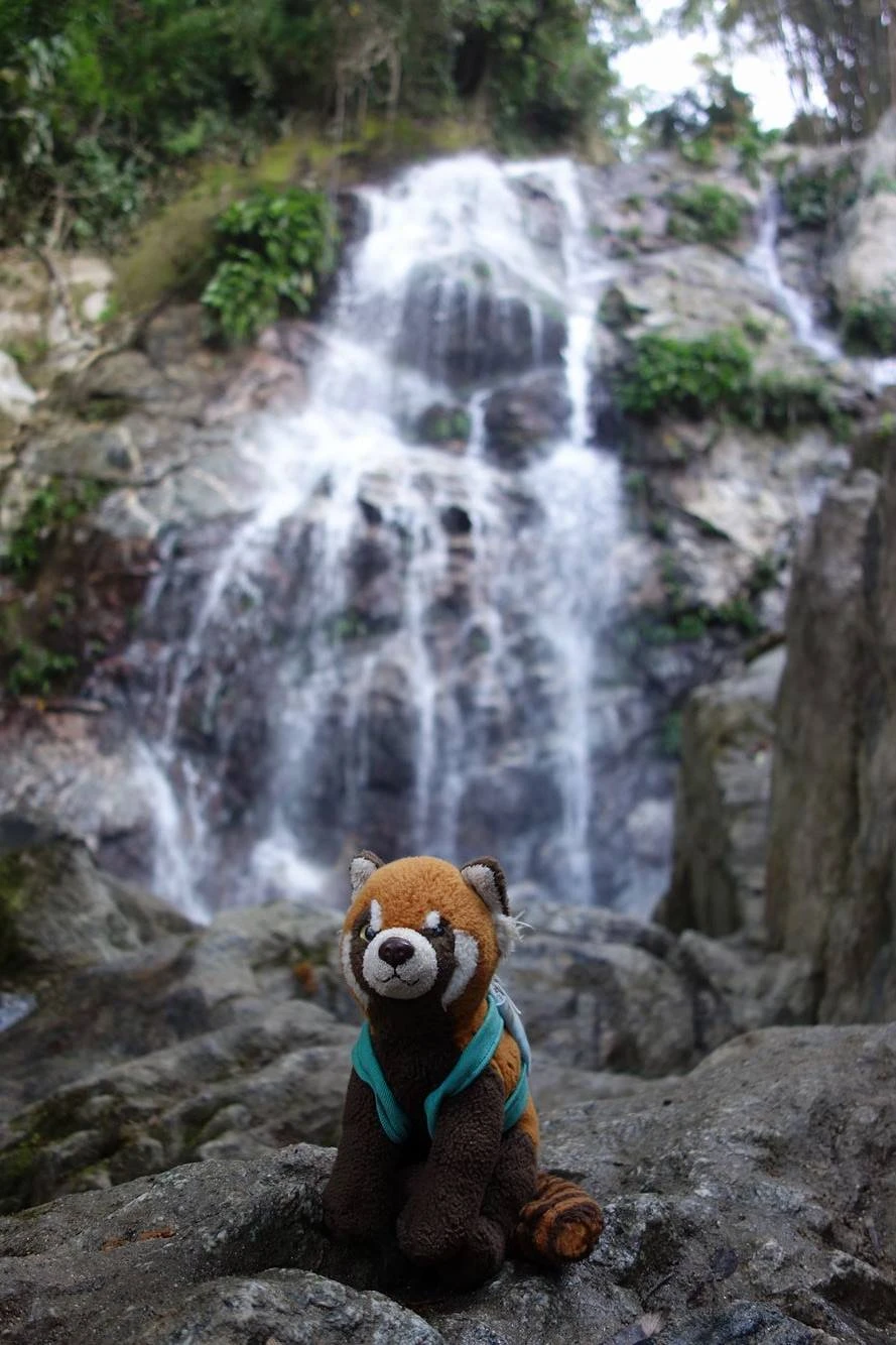 Adventure in South America