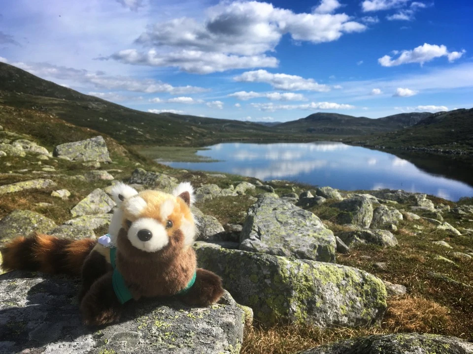 Expedition Norway - landscape