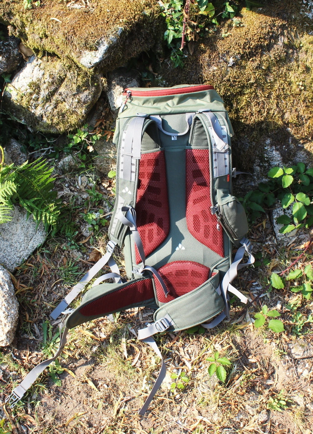vaude prokyon review