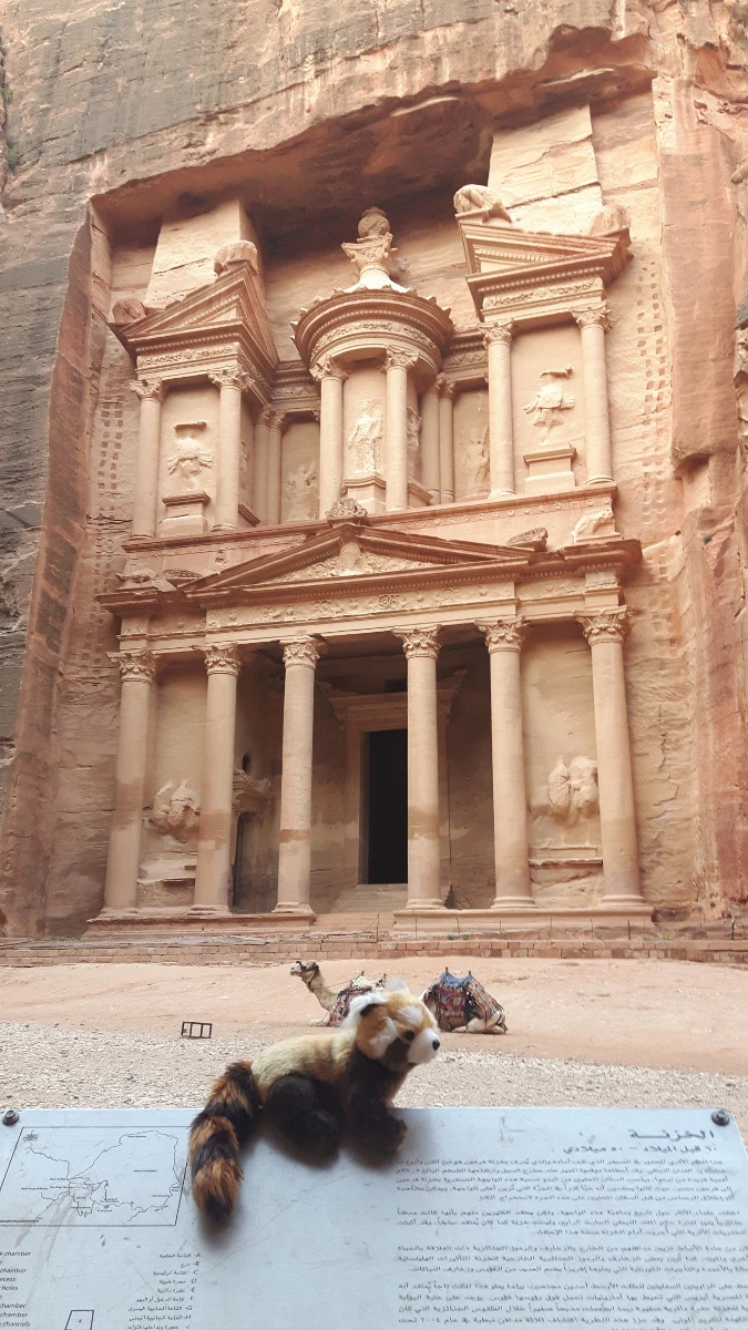 panda in Jordan