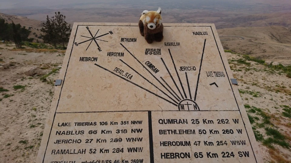 panda in Jordan
