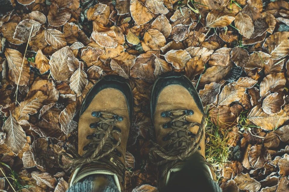Trekking - wandering through nature