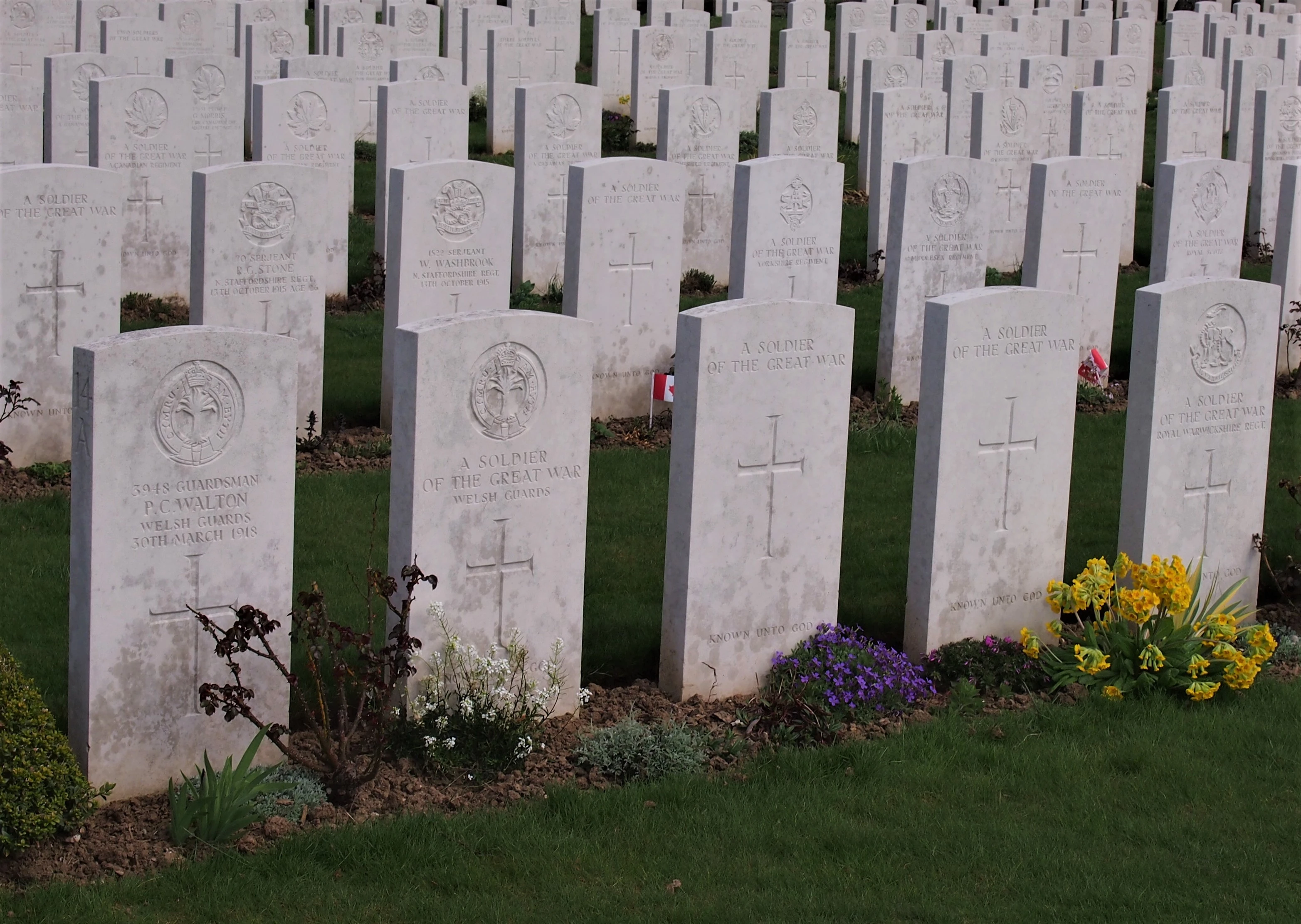 cemetery with white stones