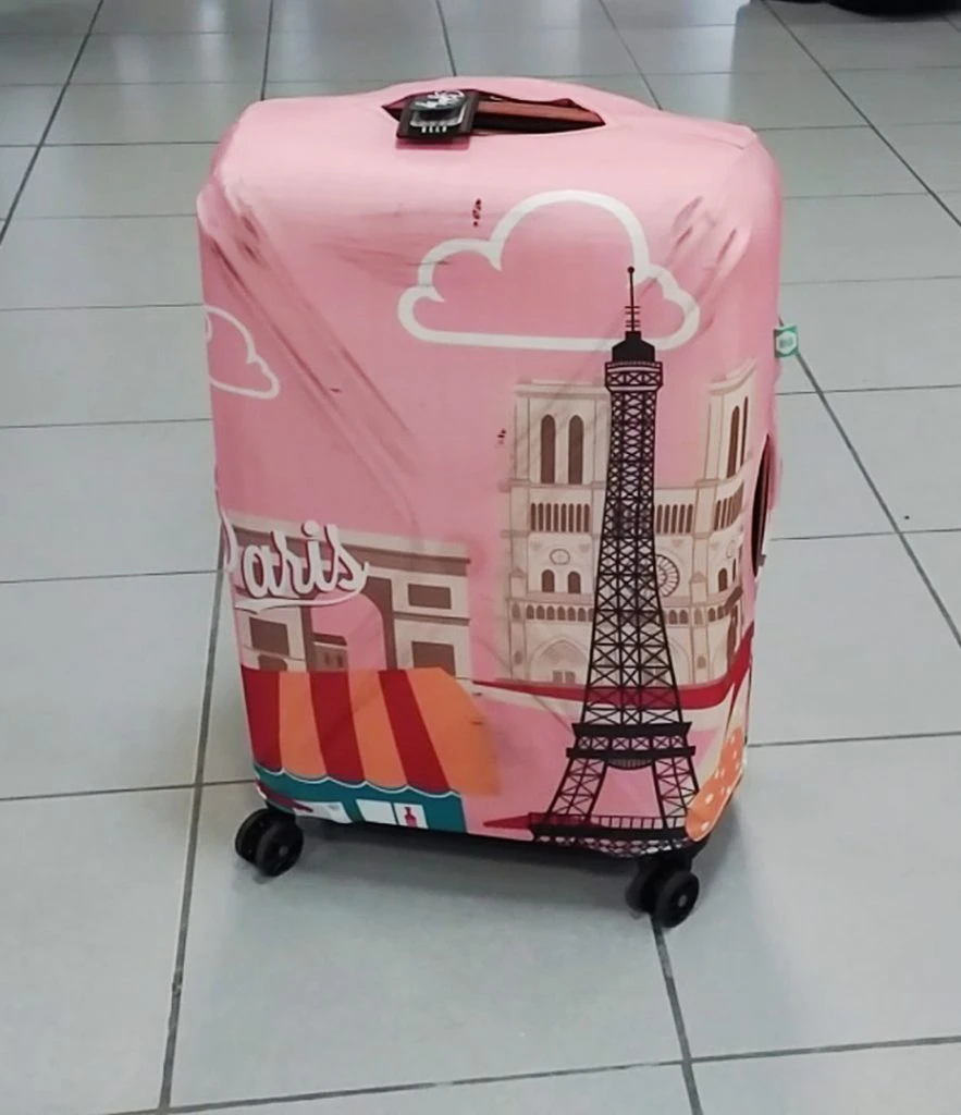 BG suitcase cover