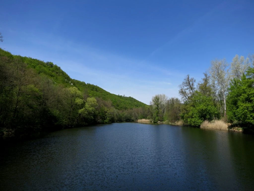 View of the Dyje River