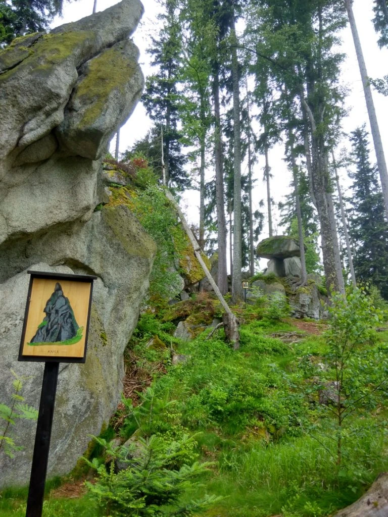 Šumava - Bear Trail