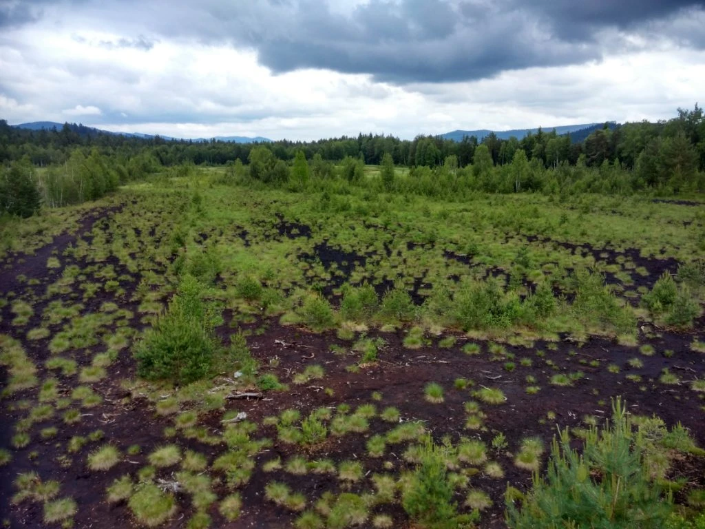 Soumarské peat bog