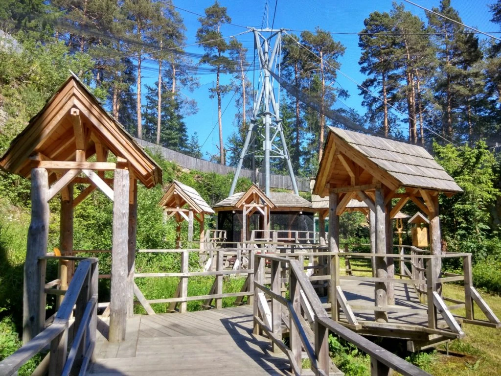 Owl Aviaries Borová Lada