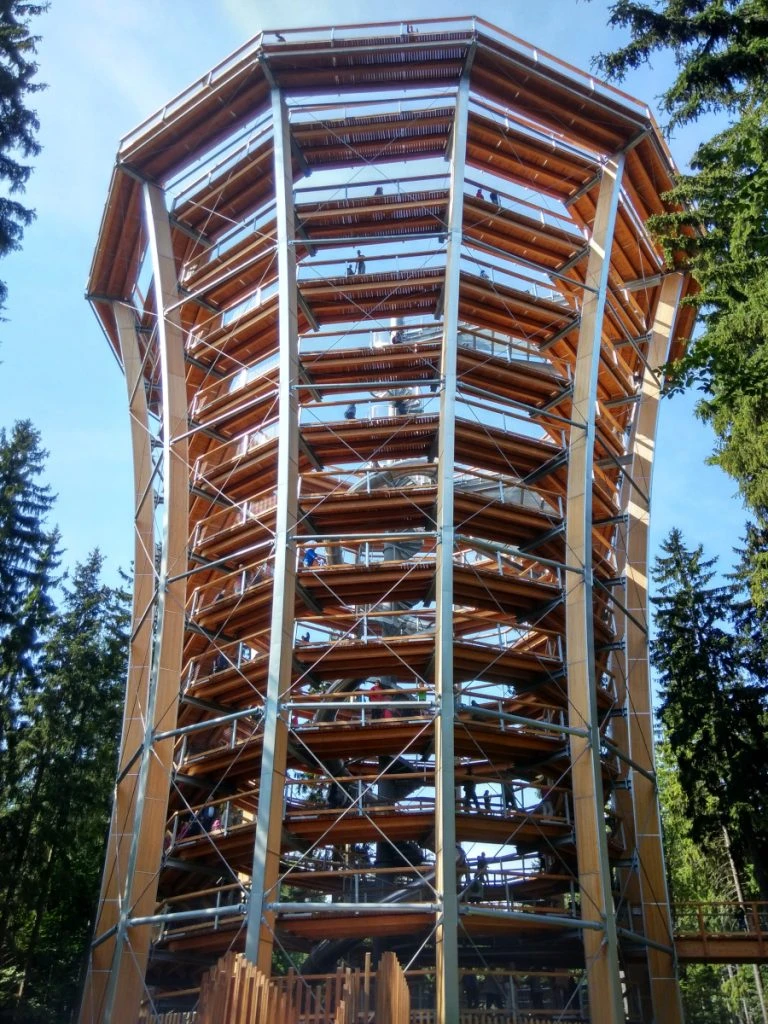 Treetop Walkway
