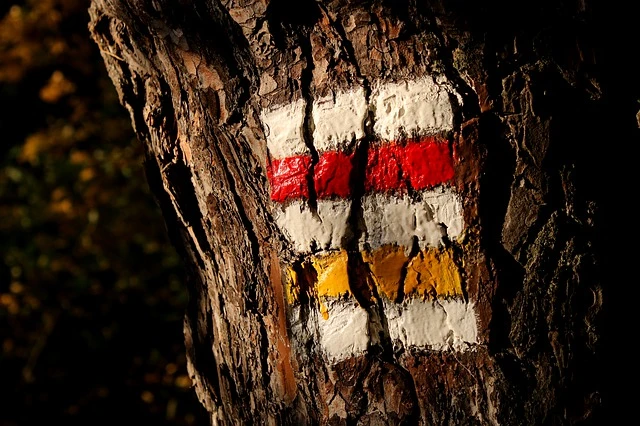 Trails and hiking markers.