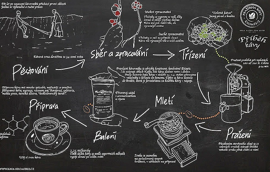the story and journeys for the taste of coffee